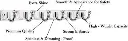 31V-ZvpjbeL.webp